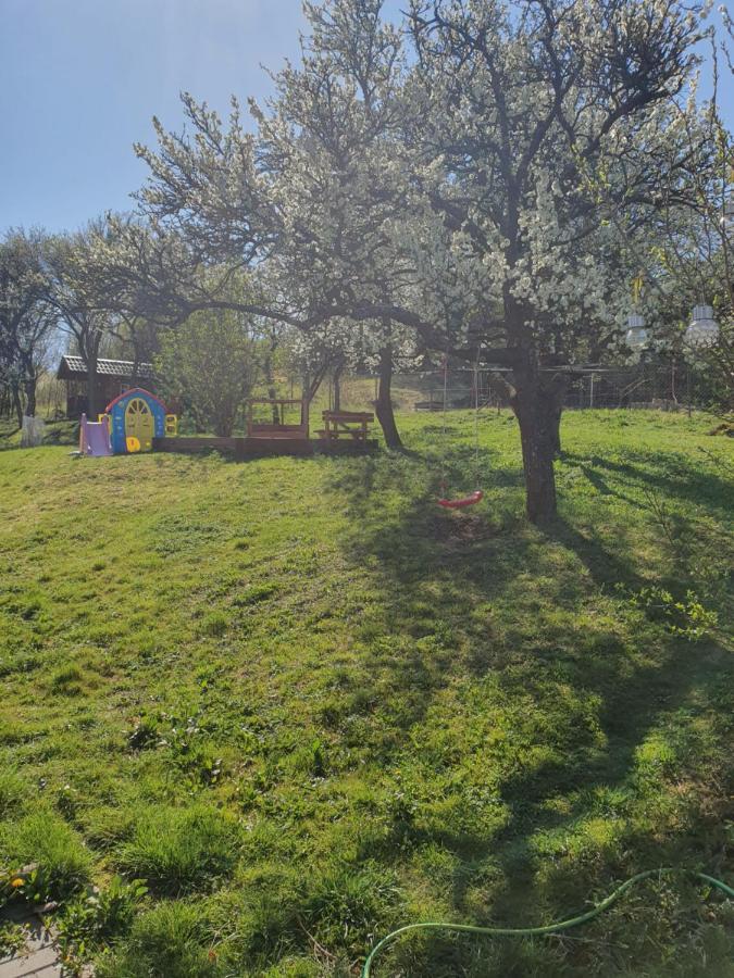 Apartments Sarika Dlha Ves Екстер'єр фото